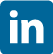 Social icon